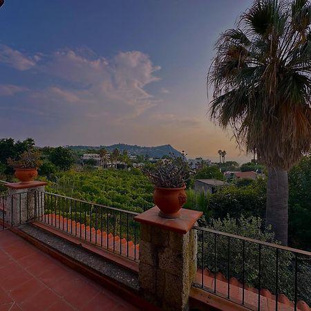 Il Vitigno Di Dioniso 호텔 Forio di Ischia 외부 사진